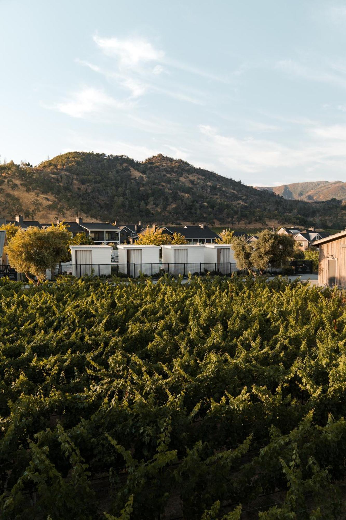 Four Seasons Resort Napa Valley Calistoga Zewnętrze zdjęcie
